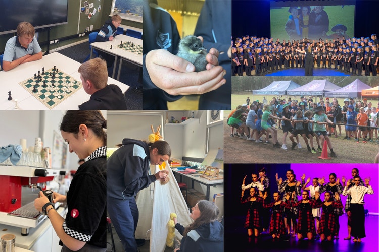 Collage of CCS students participating in dance, choir, art, hospitality, chess and raising poultry.