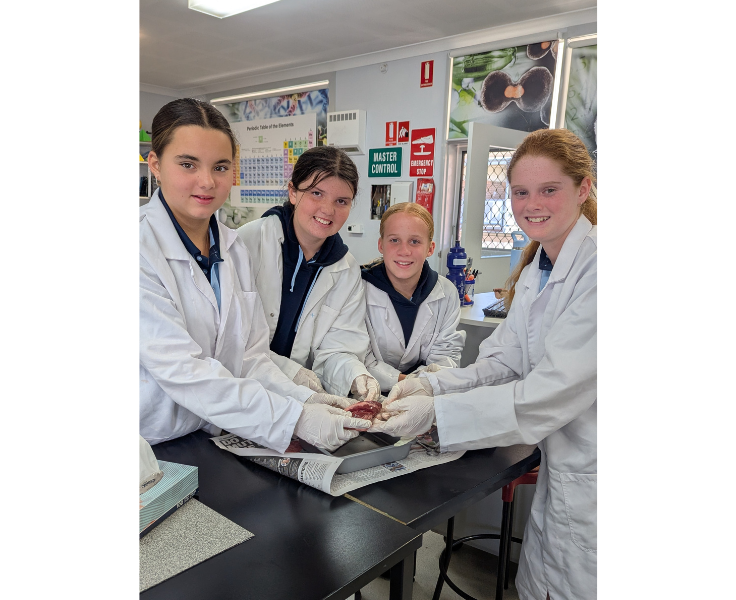 Biology students participating in a dissection practical lesson