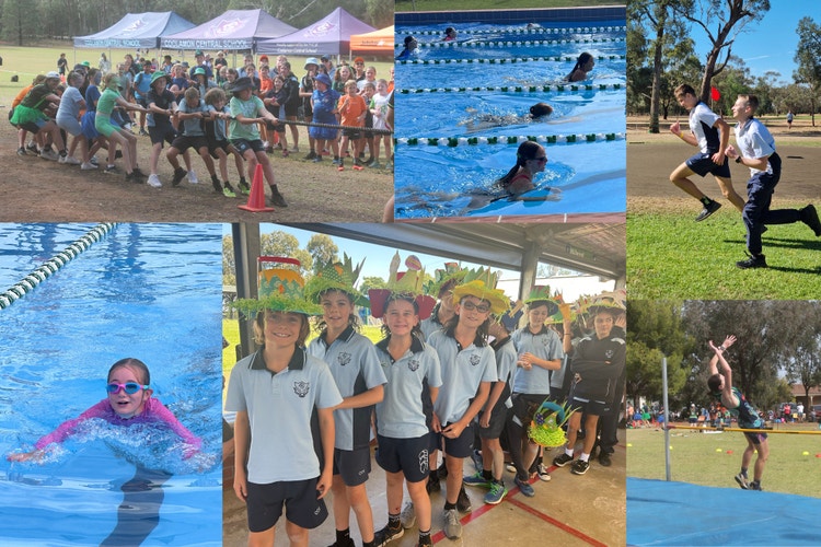 Collage of student participating in the swimming and athletics carnivals and showing off there creations at the easter hat parade